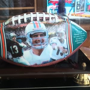 Collectible Hall of Fame football